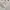 Outer crop photo 2