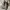 Vintage Speedy Handbag photo 2