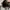 Vintage Speedy Handbag photo 5
