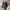 Vintage Speedy Handbag photo 4