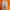 Adidas Sportswear Jersey Pria orange photo 4