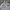 Trectop Real Madrid 2015-16 not nike acg adidas fila puma he photo 3