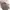 Tas Miniso Tote Bag With Tag photo 5