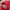Umbro Sportswear Jersey Pria red photo 3