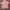 zipper photo 1