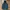 JACKET PARKA ALPHA INDUSTRIES N3B photo 2