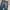 Alphasaphy Japan Blue Jeans Reguler Fit photo 8