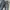 Alphasaphy Japan Blue Jeans Reguler Fit photo 4