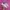 Adidas Bermuda Pink photo 2