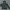 HOODIE MLB CENTER LOGO photo 1