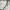 New Balance Streetwear Sportswear Bag Pria cream photo 4