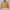 A Bathing Ape shawl collar corduroy drizzler jacket photo 1