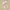 Flat shoes hak 3cm warna cream photo 1