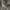 Carhartt pants wide leg photo 7