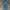 CELANA JEANS LEVIS 501 photo 7