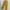 Edwin Vintage Painter Carpenter Work Pants Regular Straight