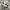 SALOMON S-LAB XT 6 photo 1