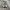 SALOMON S-LAB XT 6 photo 3