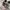 SALOMON XT6 GORE-TEX photo 6