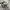 SALOMON XT6 GORE-TEX photo 4