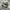 SALOMON XT6 GORE-TEX photo 1