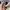 ADIDAS CAMPUS 00s photo 7