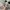 ADIDAS CAMPUS 00s photo 6