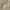 Baggy cargo wide leg photo 5