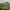 Nike Sportswear Sneakers Pria green photo 4