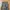 Korean basic Military cargopants photo 4