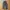 Korean basic cargopants outdoor photo 5