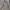 Jaket Parka Model M65 Cream Elle Outdoor photo 1