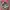VIRTUAL INSANITY BAG