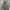 overall pendek x-girl y2k photo 3