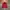 Tenf Barkley mulitpocket jacket photo 5