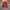 Tenf Barkley mulitpocket jacket photo 1