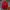 Vintage Sportswear Jersey Pria Red