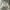 Zara Trucker Jacket Light Wash photo 1