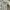 Zara Trucker Jacket Light Wash photo 4
