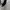 Adidas Y2K Sportswear Jersey Pria cream photo 8