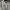 Adidas Y2K Sportswear Jersey Pria cream photo 3