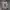 Adidas Y2K Sportswear Jersey Pria cream photo 2