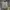 Adidas Y2K Sportswear Jersey Pria cream photo 1