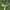 Air max plus tn drift  photo 1