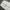 Baggy pants toffe white photo 5
