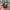 mod lostvape thelema quest 200 photo 2