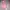 Casual Wanita pink orange photo 4