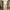 Baggy Sweatpants Dusty Pink photo 1