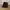 Dickies 874 Dark Brown Longpants  photo 1