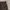 Dickies 874 Dark Brown Longpants  photo 5